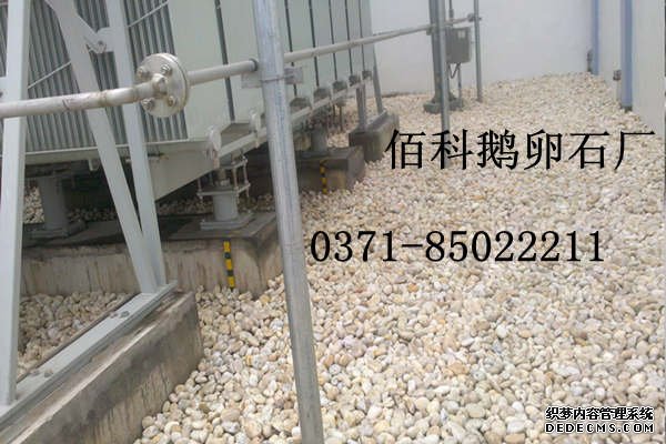 鵝卵石(礫石)濾料生產廠家在哪里？